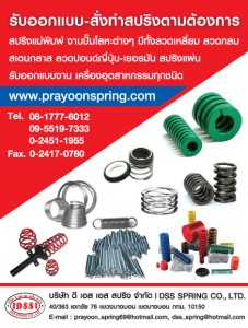 D S S Spring Co.,Ltd.