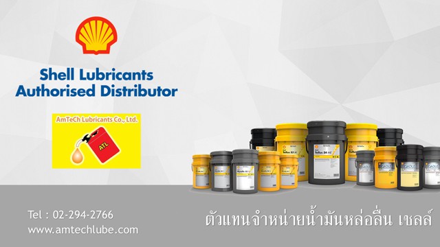 Shell_2