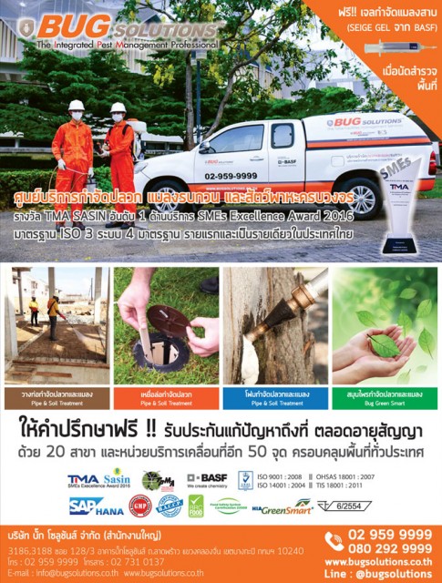 บั๊ก โซลูชันส์